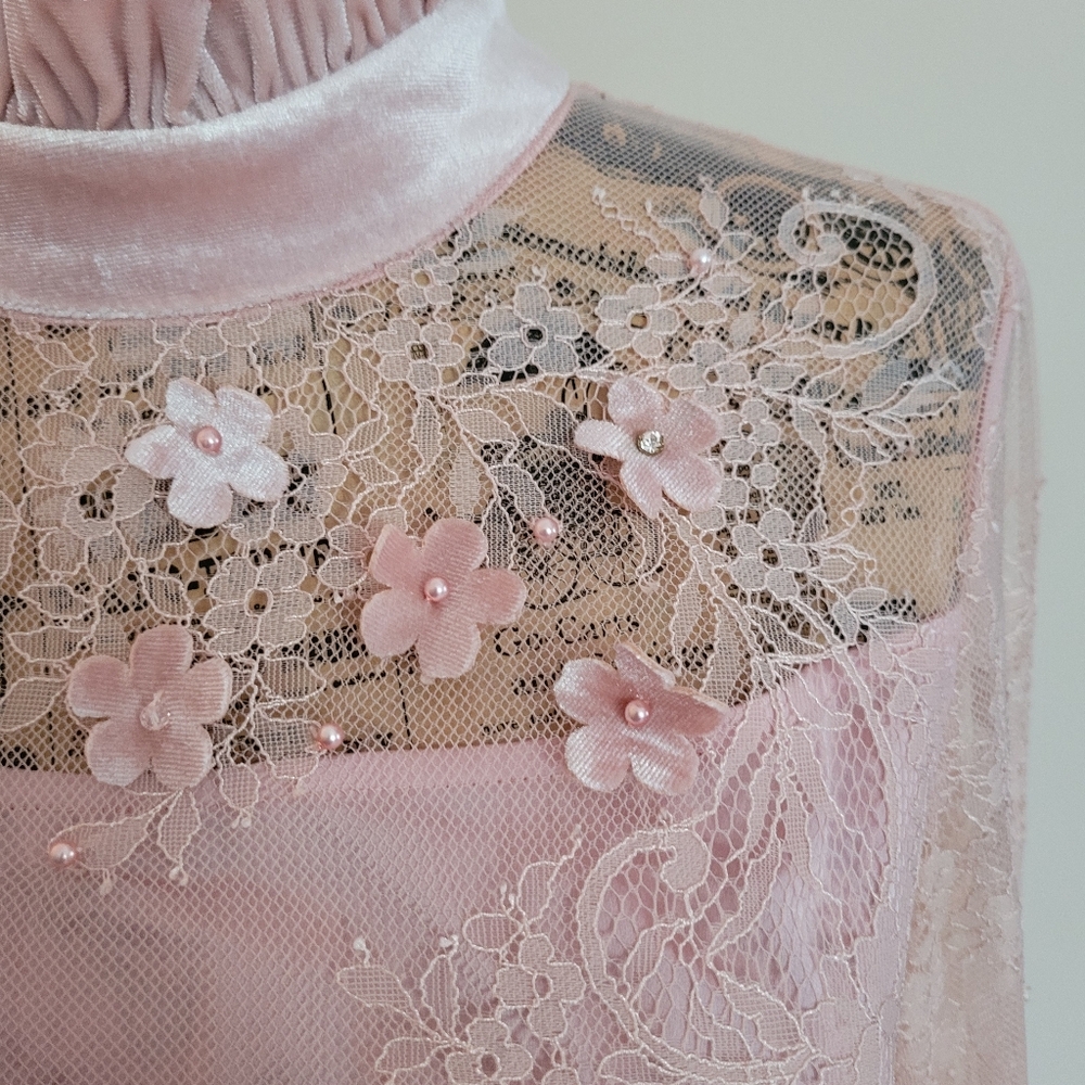 Pink Mary Cottagecore maxy lace dress with floral appliques Velvet accents Y2K - Picture 4 of 13